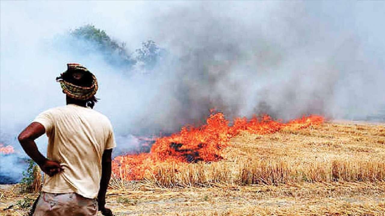 पराली