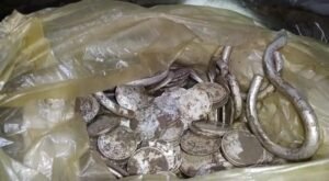 खुदाई में निकले चांदी के सिक्के