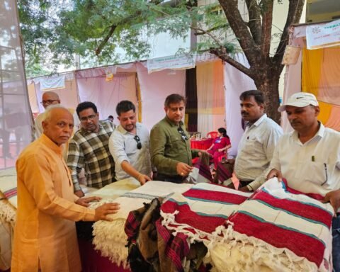 हस्त शिल्प मेला