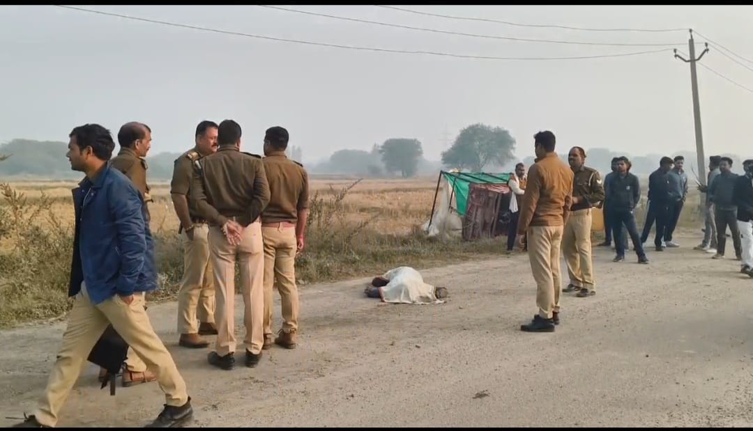 पलटी धान से भरी ट्रॉली
