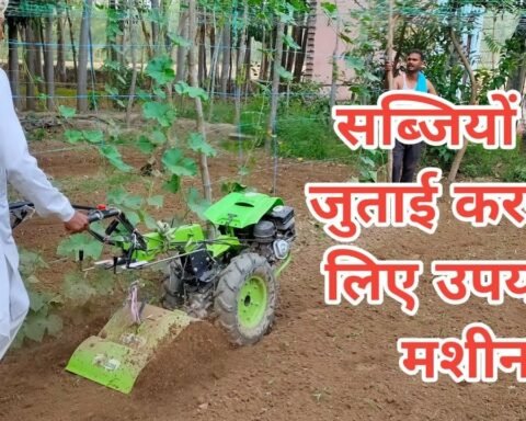 रानी लक्ष्मीबाई केंद्रीय कृषि विश्वविद्यालय